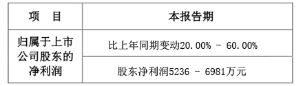 东山精密成绩单.jpg