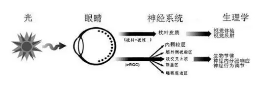 LED景观照明工程设计中的光环境与光文化剖析 12.webp.jpg