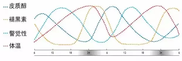 LED景观照明工程设计中的光环境与光文化剖析 13.webp.jpg